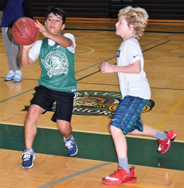 St. Louis Summer Camps